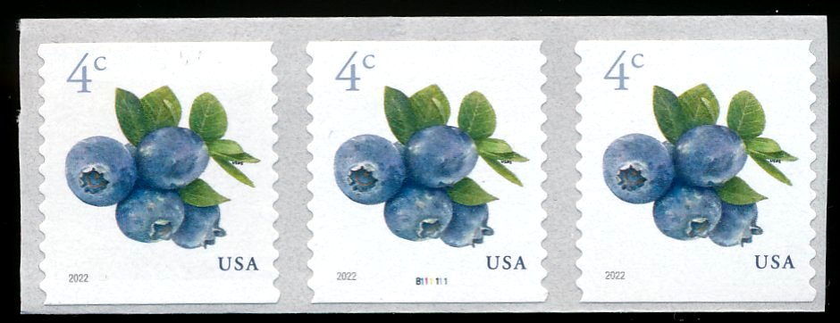 5653pnc3 4c Blue Berries Mint PNC of 3 5653pnc3